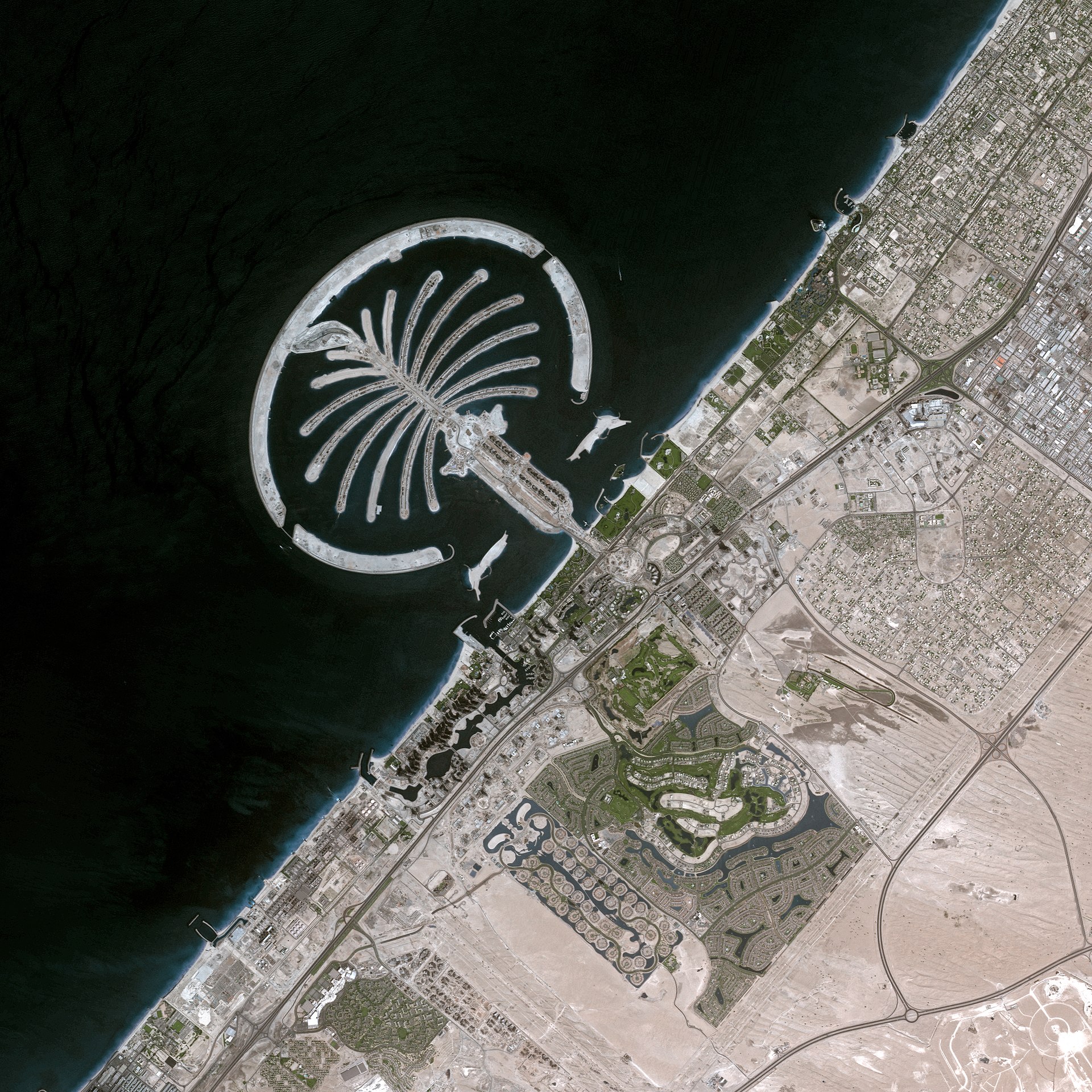 The Palm Jumeirah, la spettacolare isola artificiale di Dubai